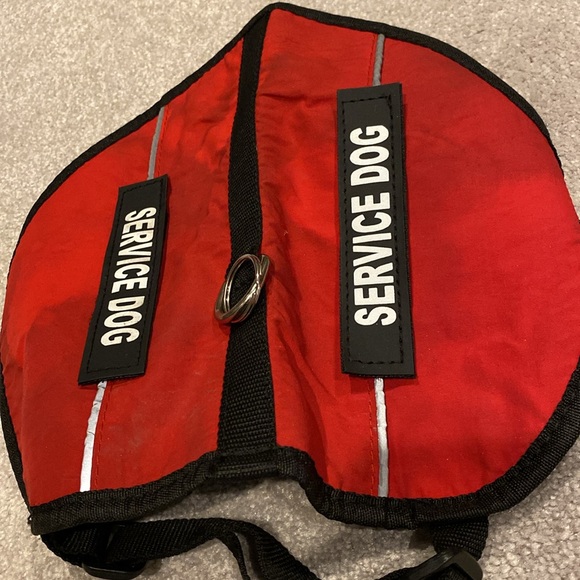 ‼️SERVICE DOG‼️ - Picture 2 of 5